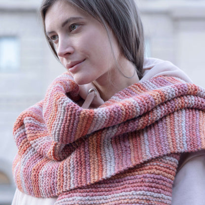 Red Heart Knit Palermo Scarf Knit Scarf made in Red Heart An Italian Story Ombra Yarn