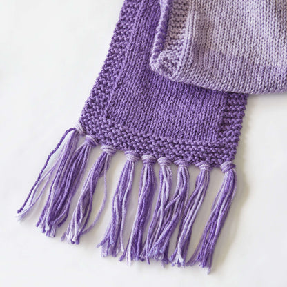 Red Heart Simple Ombre Knit Scarf Knit Scarf made in Red Heart Super Saver Ombre Yarn