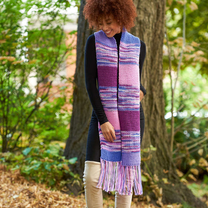 Red Heart Color Block Shaker Rib Knit Scarf Single Size