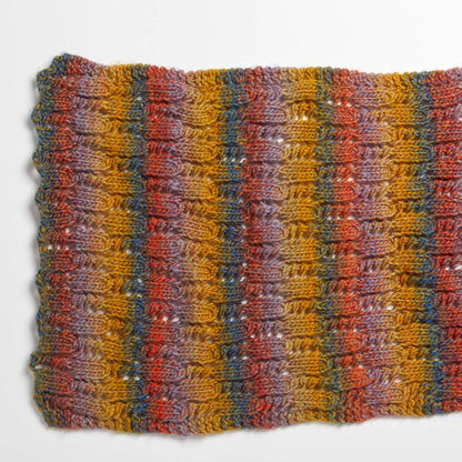 Red Heart Rendezvous Knit Shawl Knit Shawl made in Red Heart Colorscape Yarn
