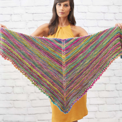 Red Heart Vibrant Knit Shawlette Knit Shawl made in Red Heart Boutique Yarn