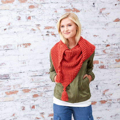 Red Heart Knit Fall Berries Shawl Knit Shawl made in Red Heart Soft Yarn