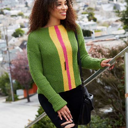Red Heart Everyday Chic Sweater Knit Sweater made in Red Heart Chic Sheep Yarn