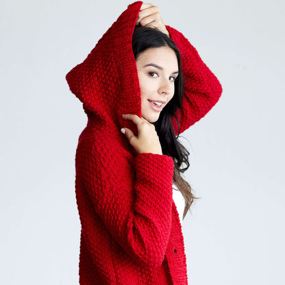 Red Heart Lazy Day Chic Sweater Knit Sweater made in Red Heart Chic Sheep Yarn