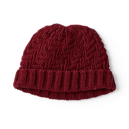 Red Heart Knit Basketweave Set for Him Hat