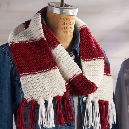 Red Heart Knit Hooray Team Scarf Knit Scarf made in Red Heart Boutique Yarn