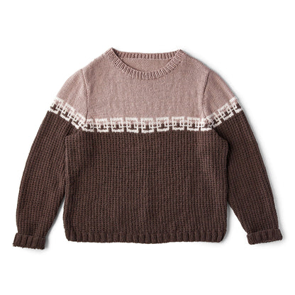 Red Heart Structure Chic Sweater Knit Sweater made in Red Heart Chic Sheep Yarn