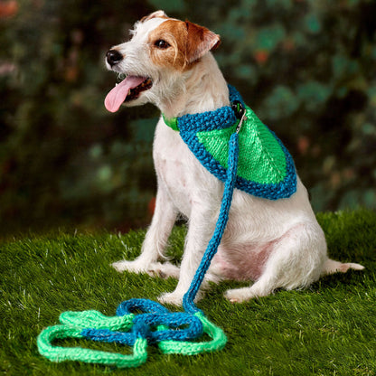 Red Heart Knit Flashy Dog Leash & Bandana Knit Bandana made in Red Heart Reflective Yarn