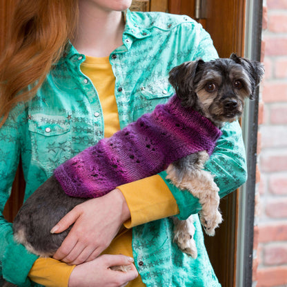 Red Heart Knit Paw Print Dog Sweater Knit Sweater made in Red Heart Boutique Yarn