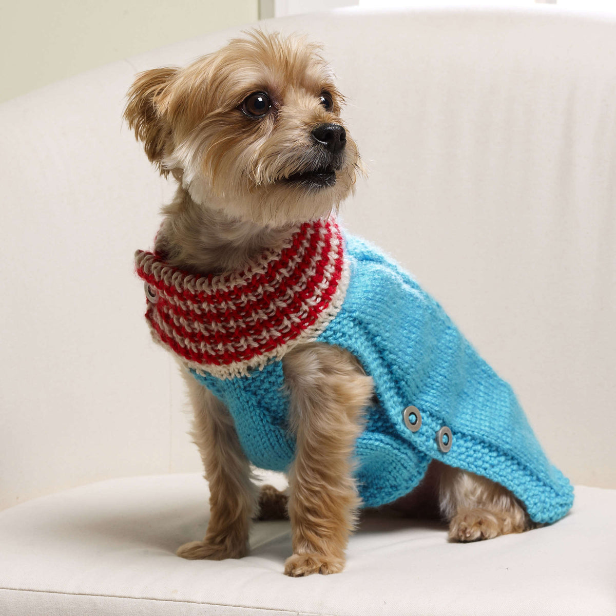 Knit Sweater made in Red Heart Soft Yarn