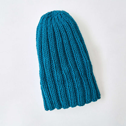 Red Heart Beginner Knit Hat Knit Hat made in Red Heart With Love Yarn