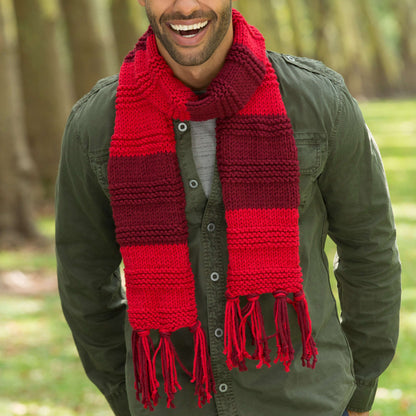 Red Heart Knit Gender Neutral Scarf Knit Scarf made in Red Heart Heads Up Yarn