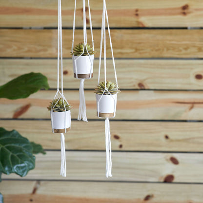 Red Heart Craft Knotted Plant Hangers Craft Hangers made in Red Heart With Love Yarn