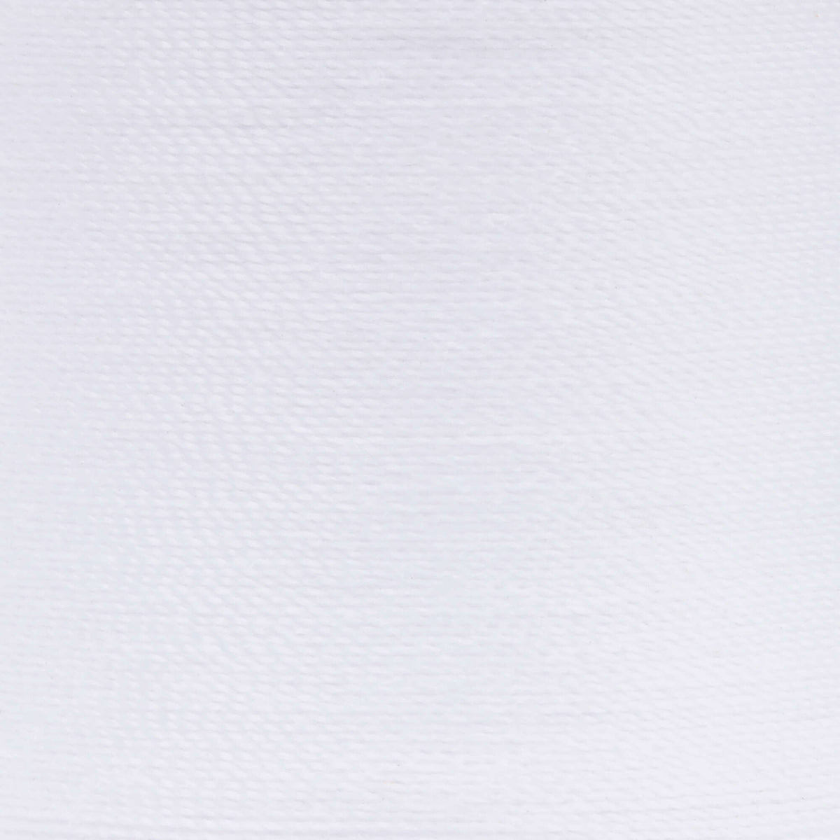 Artic White