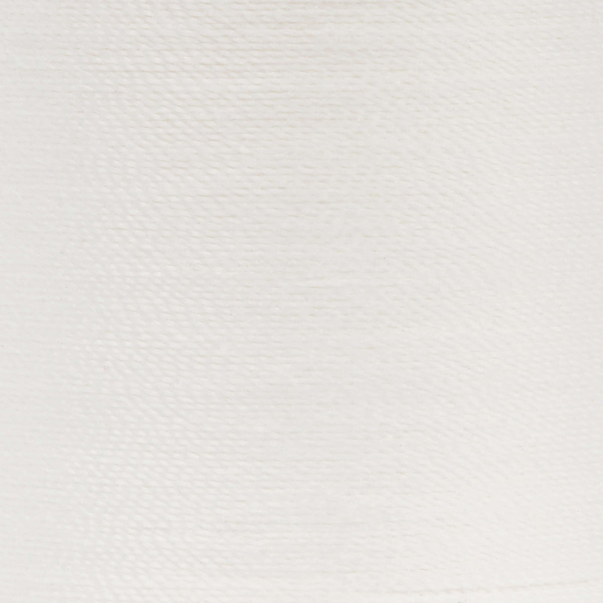 Winter White