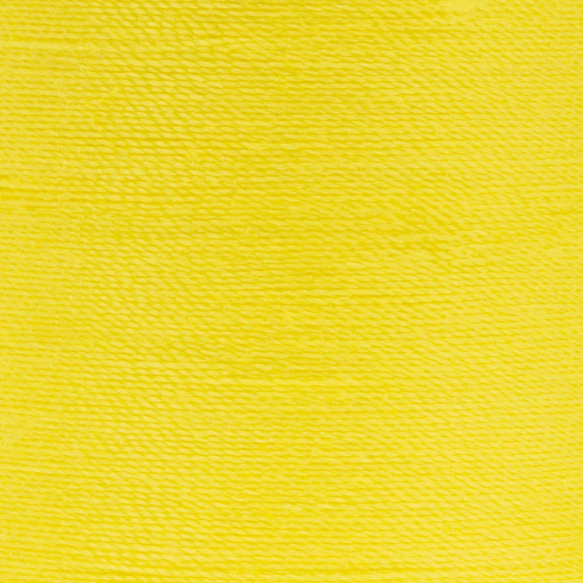 Mimosa