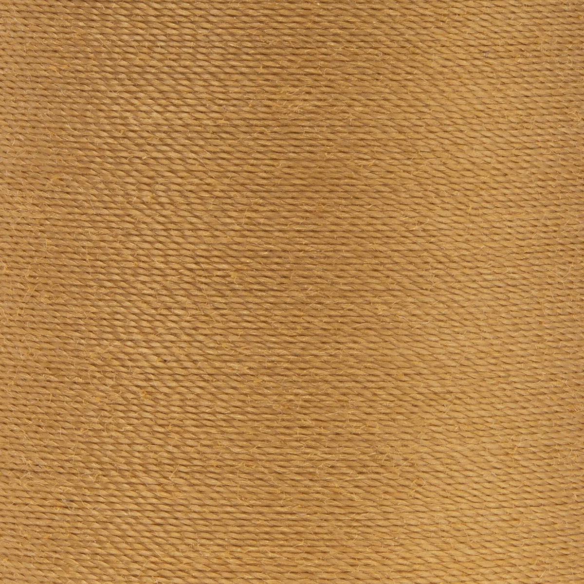 Golden Tan