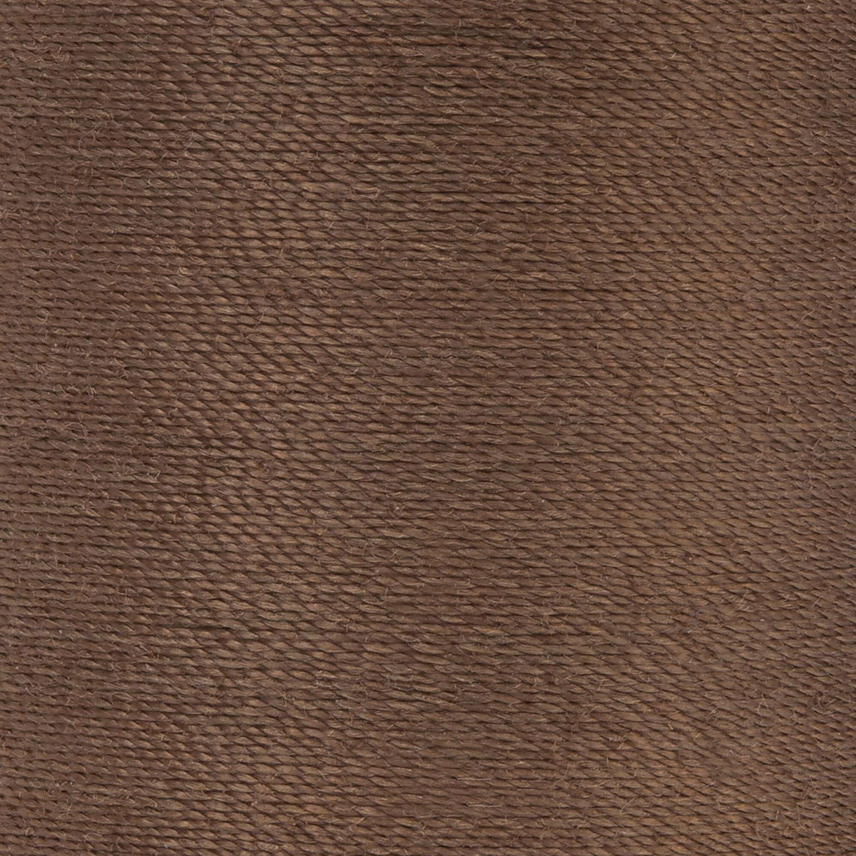 Summer Brown