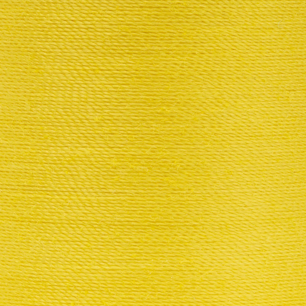 Bright Sun Yellow