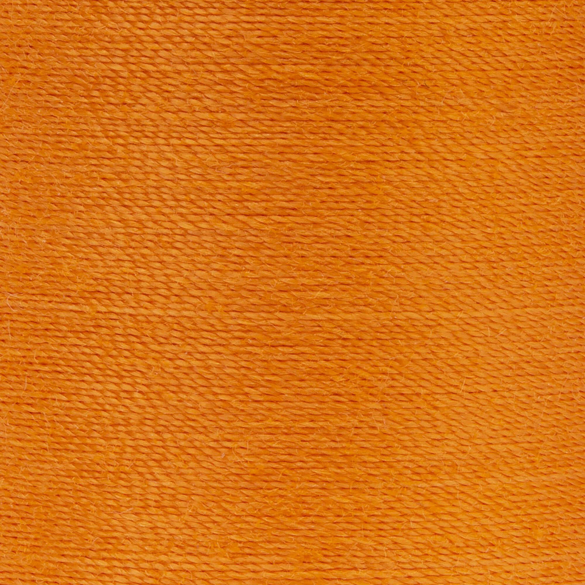 Bright Pumpkin