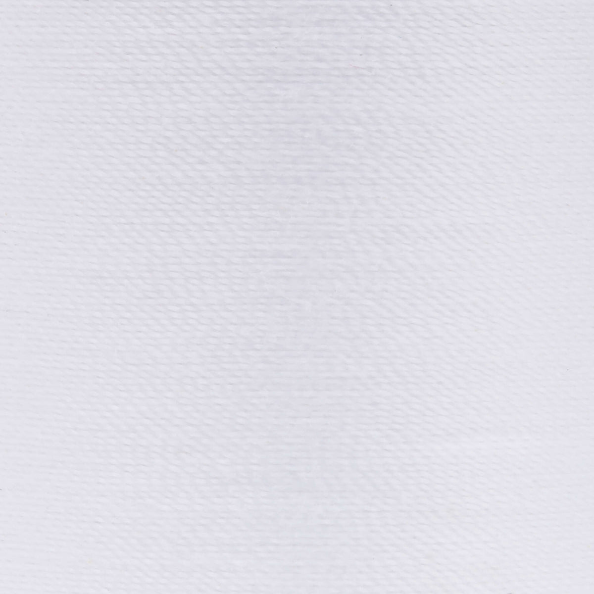 Arctic White
