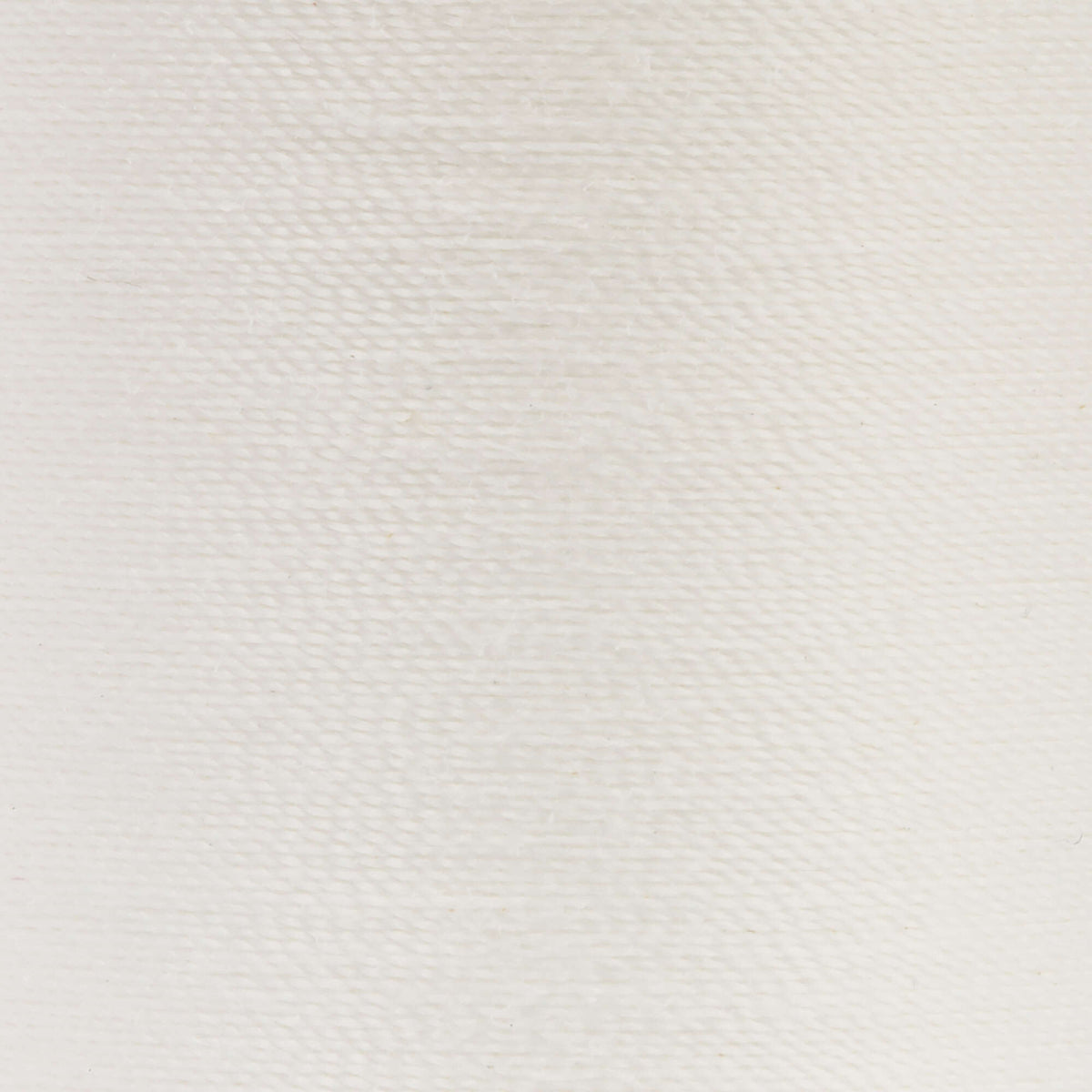 Winter White