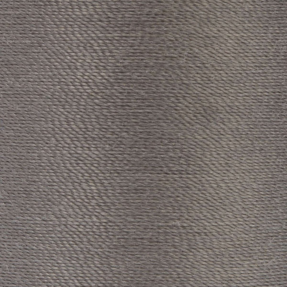 Business Gray