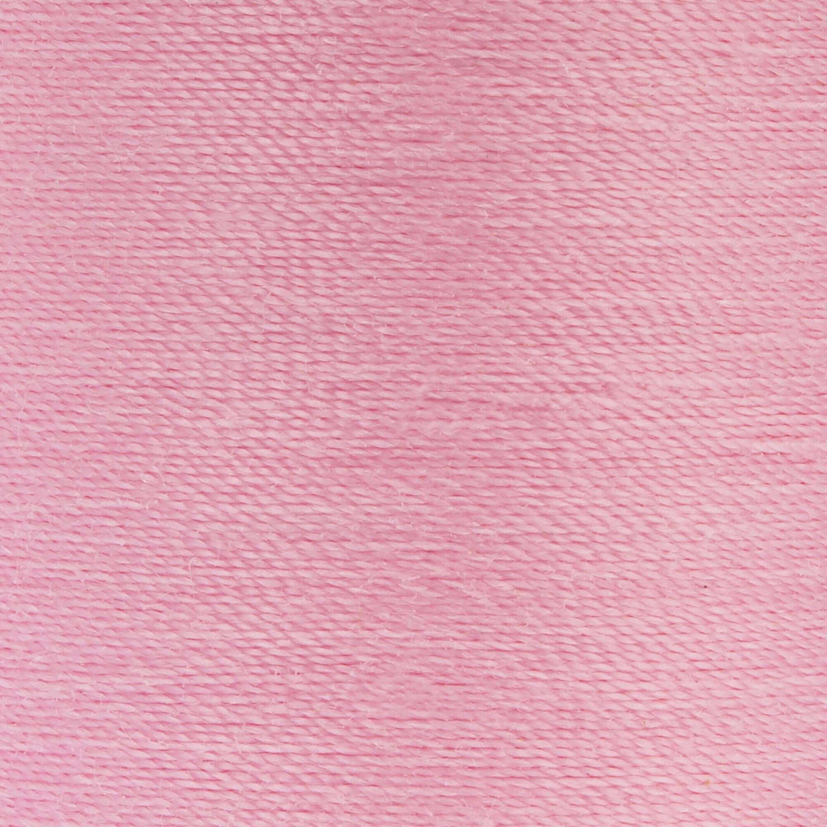 Rose Pink