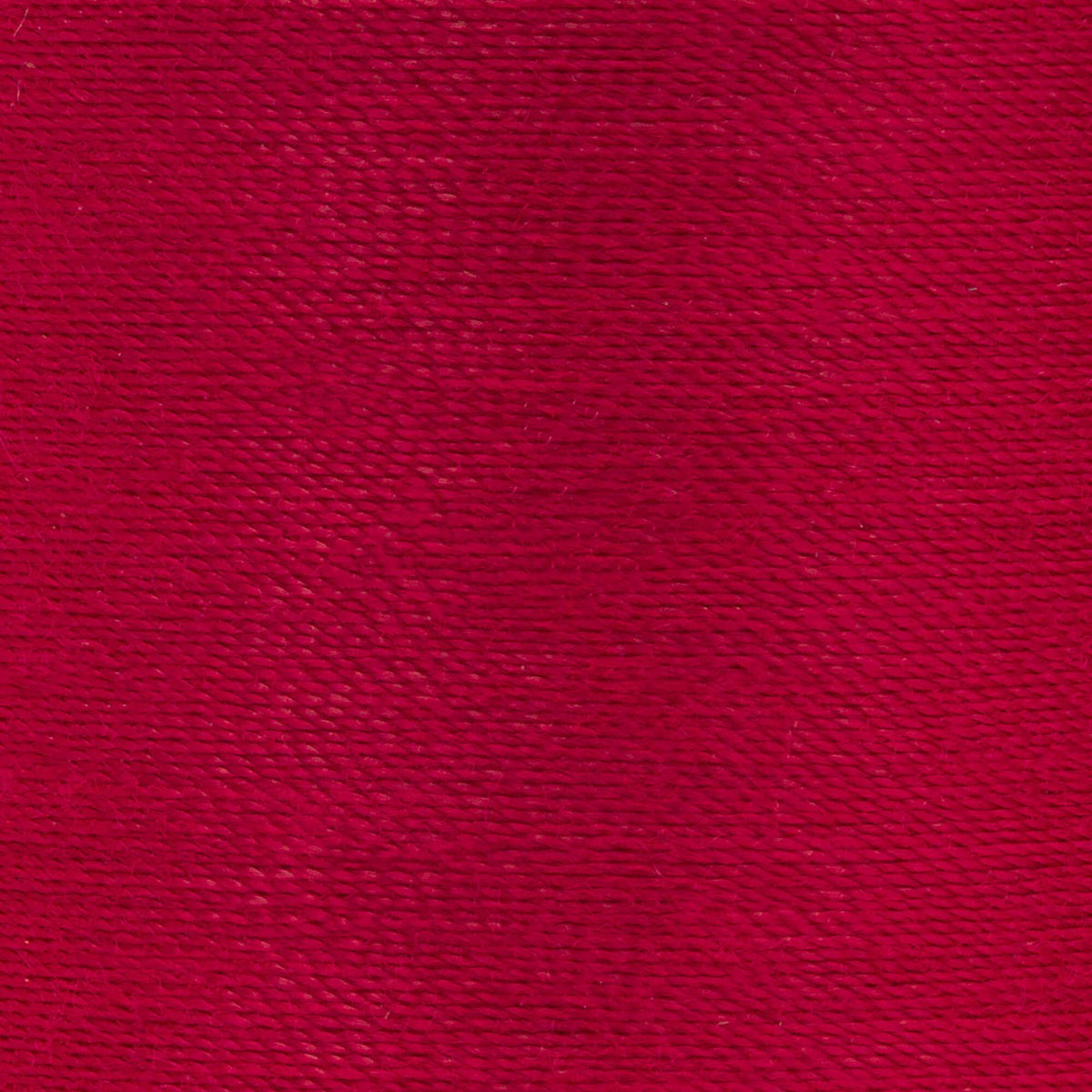 Ming Cherry