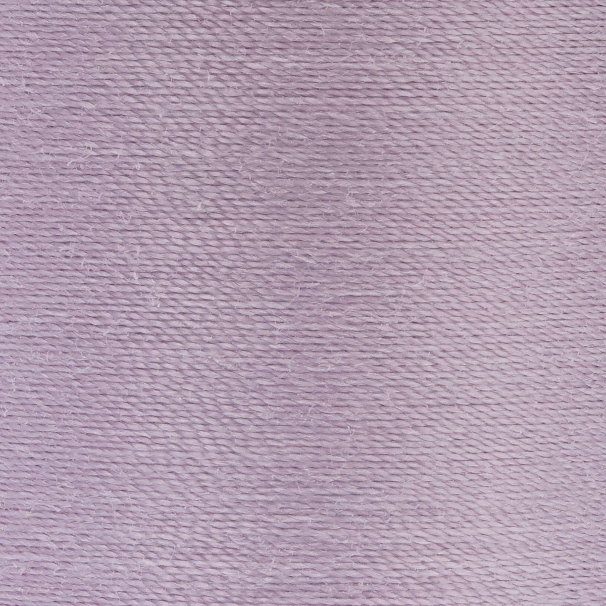 Purple Haze