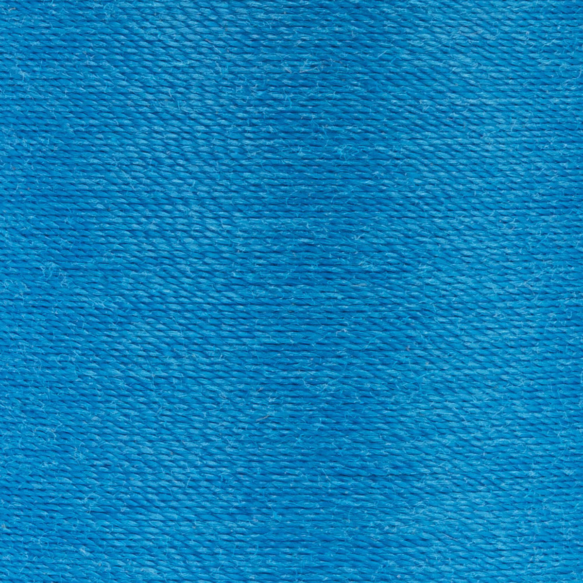 Hummingbird Blue