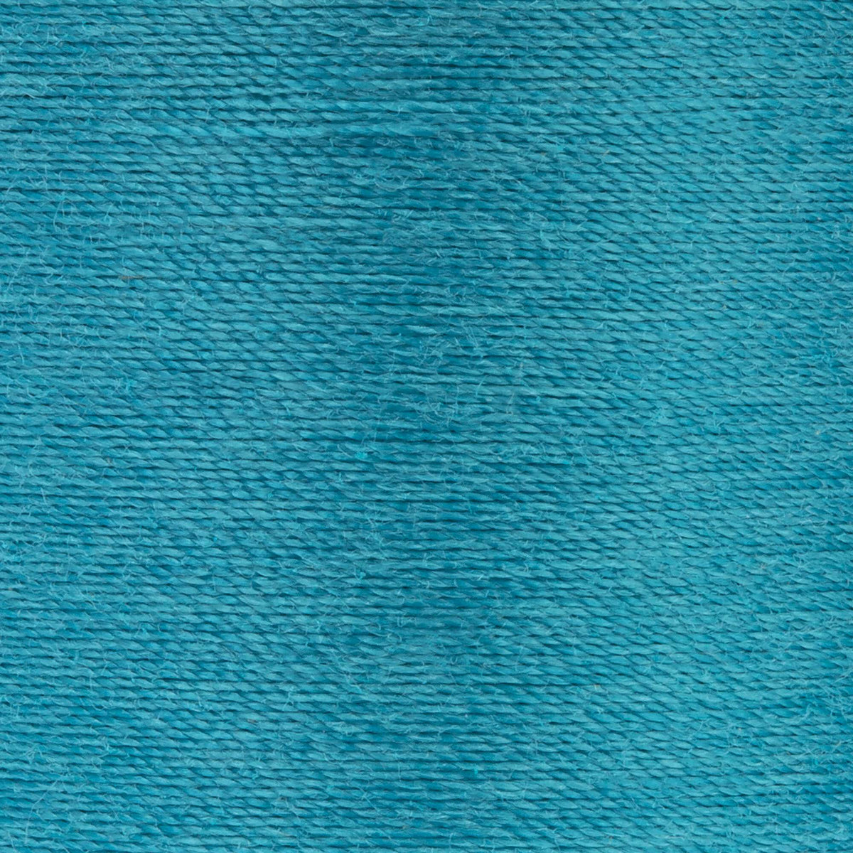 Parrot Blue