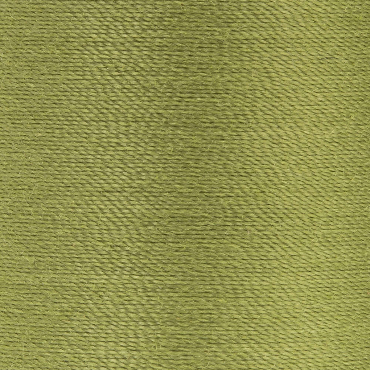 Okra