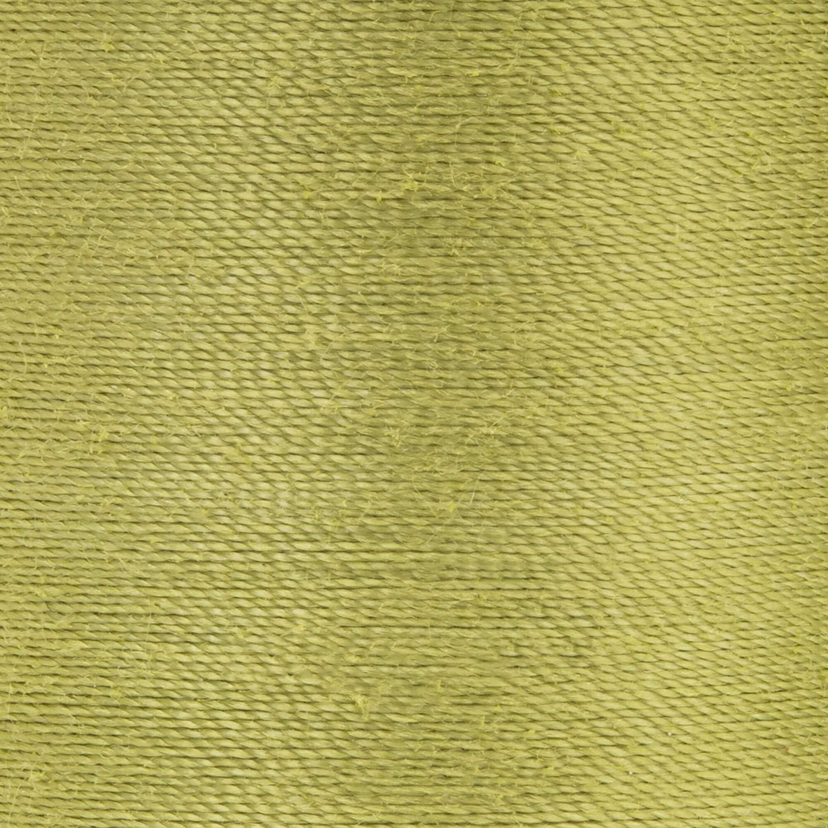 Light Olive