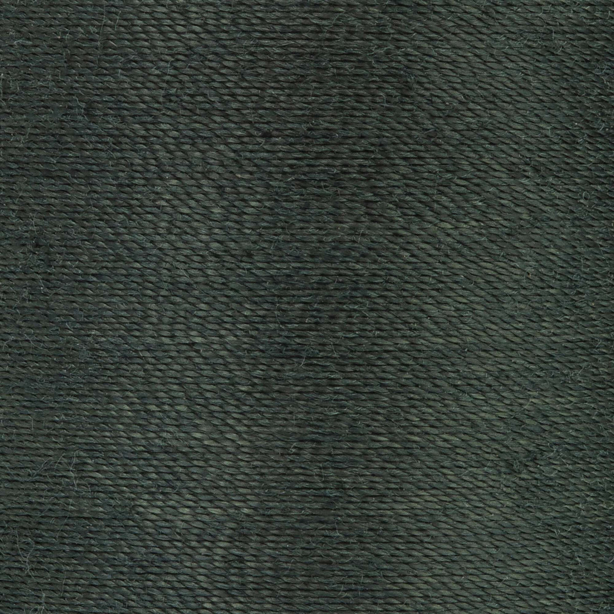 Dark Forest