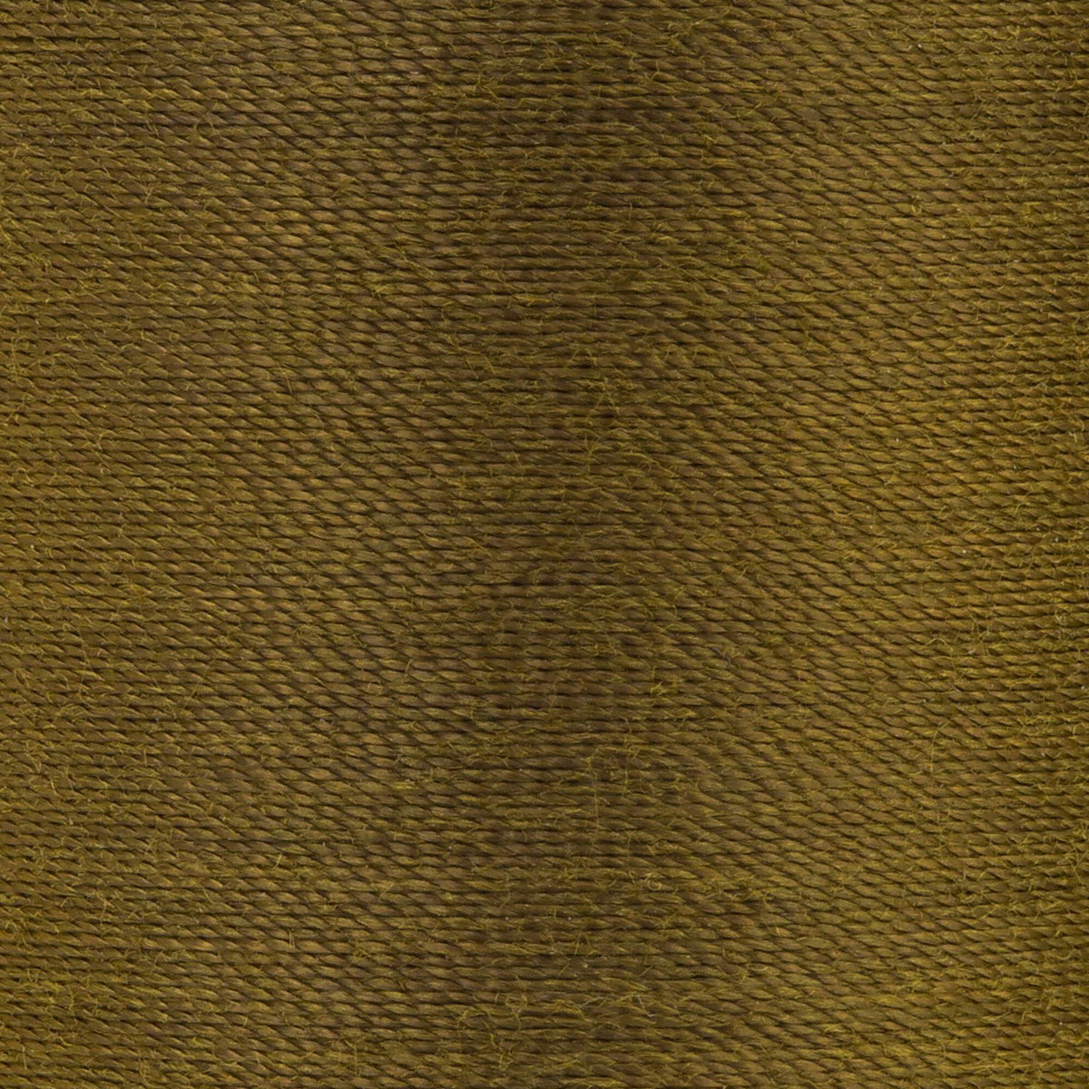 Golden Olive