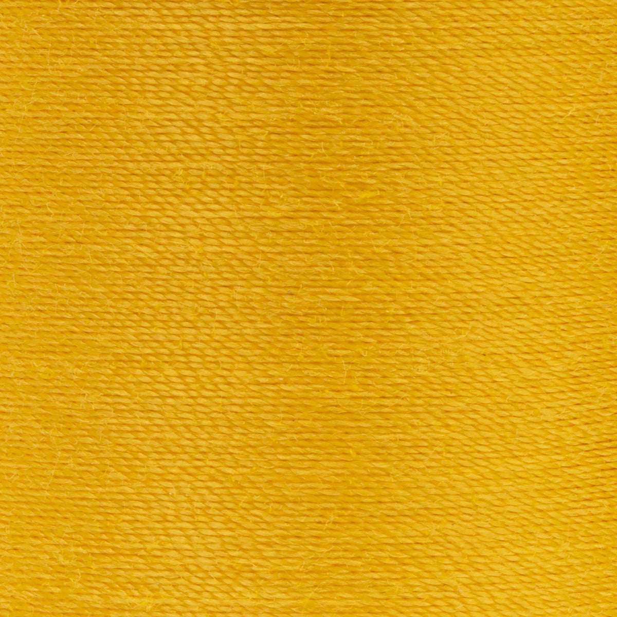 Goldenrod