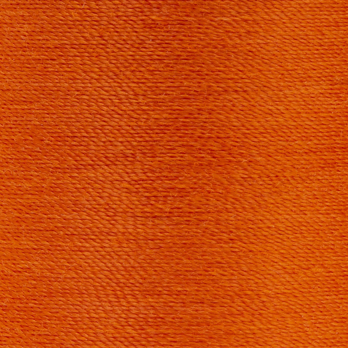 Kumquat