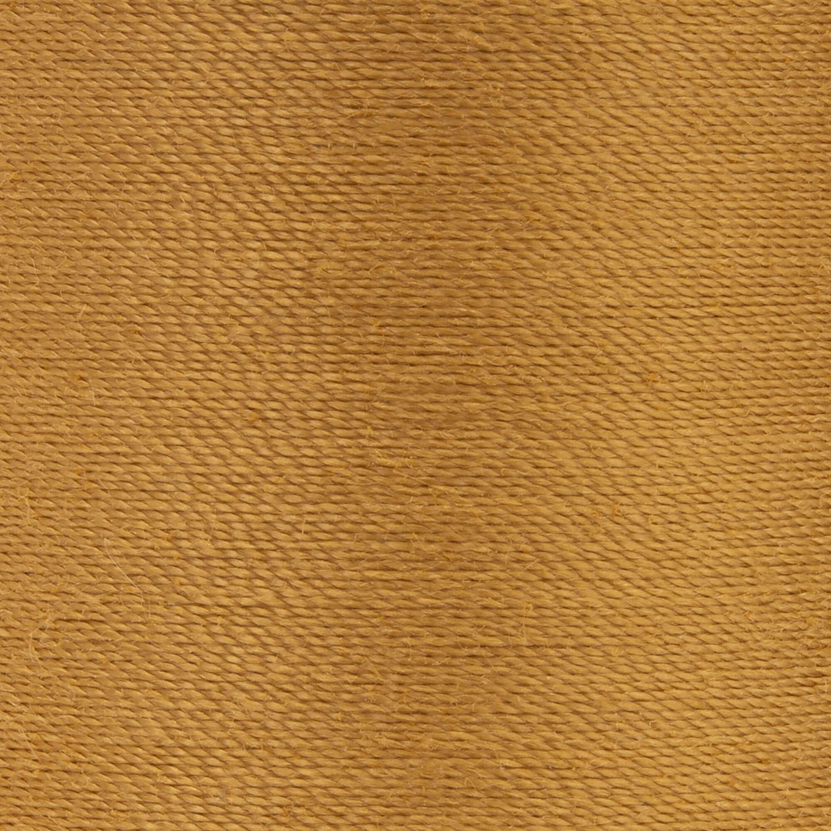 Golden Tan