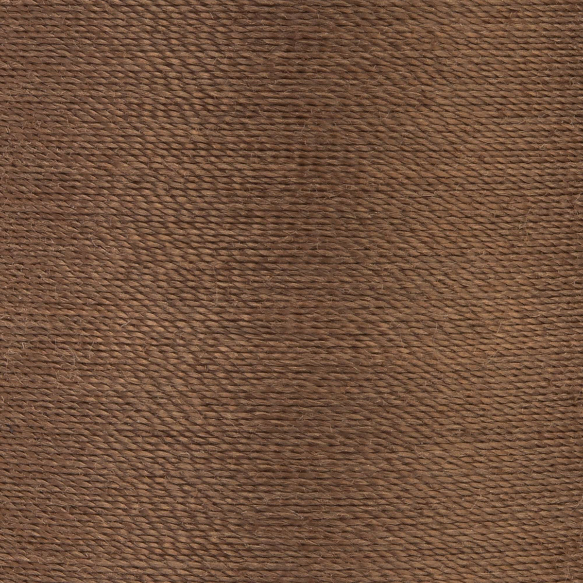Summer Brown