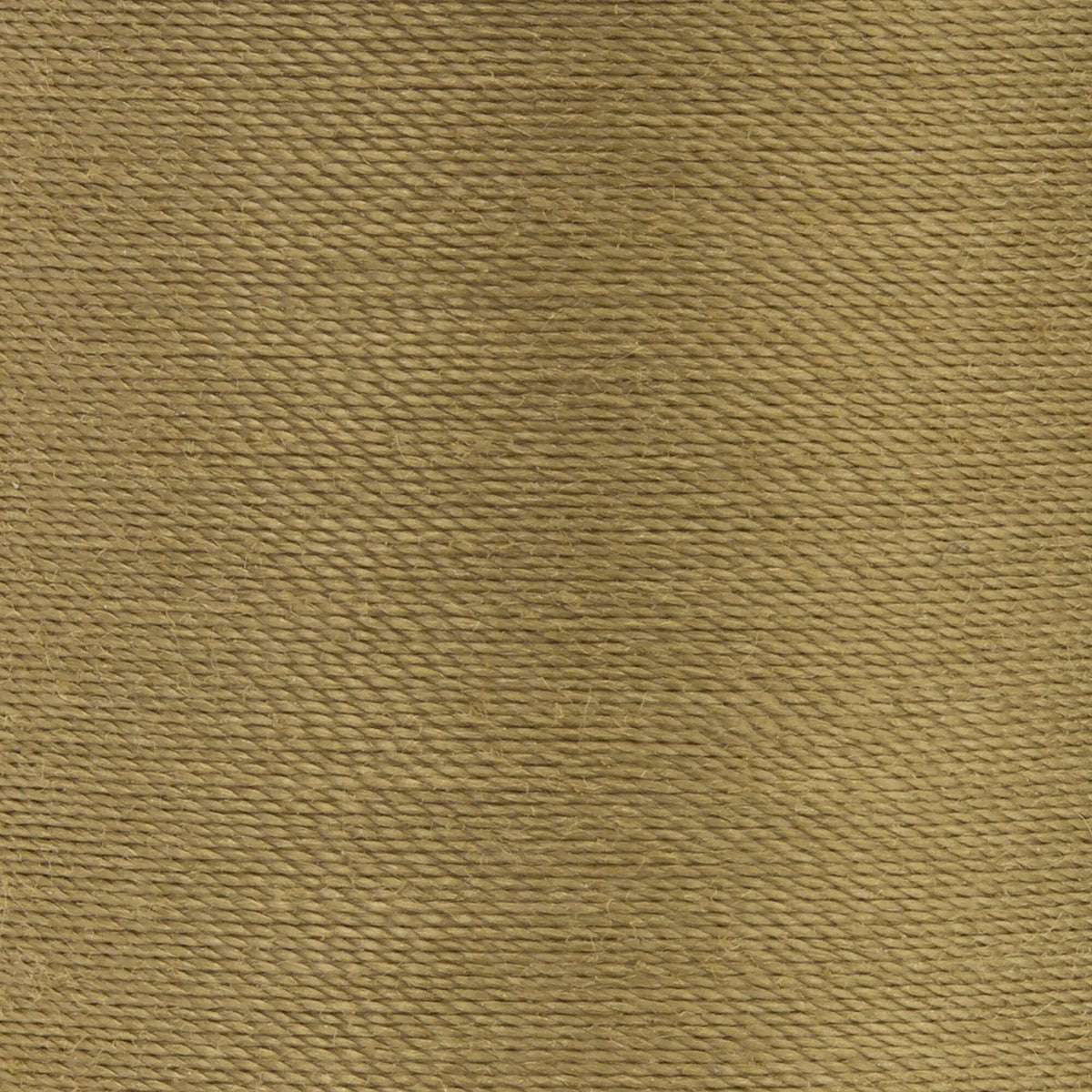 Dark Khaki