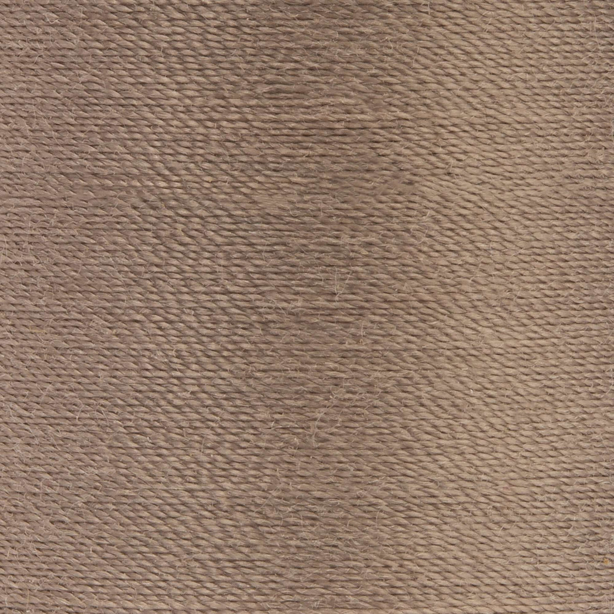 Taupe Clair