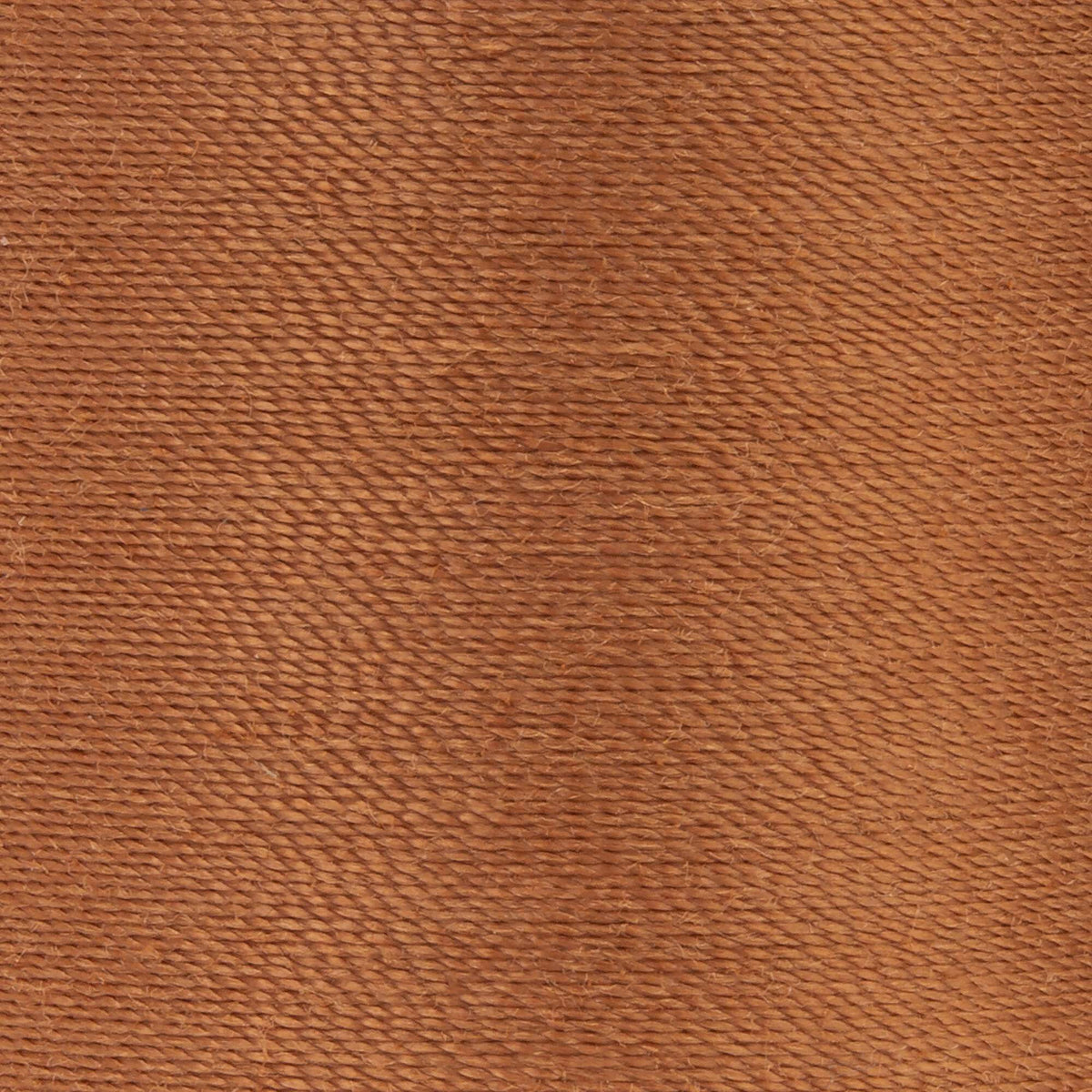 Maple Sugar