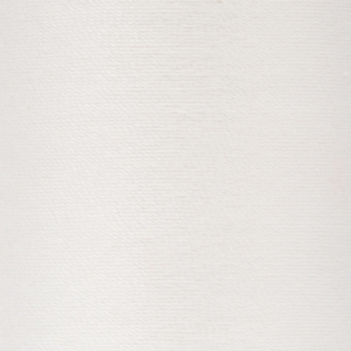 Winter White