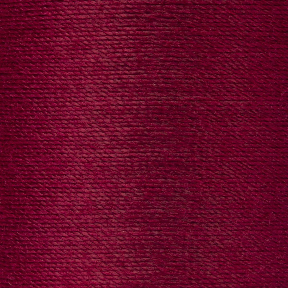 Barberry Red