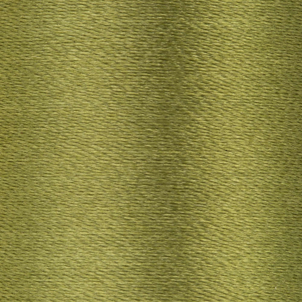 Okra