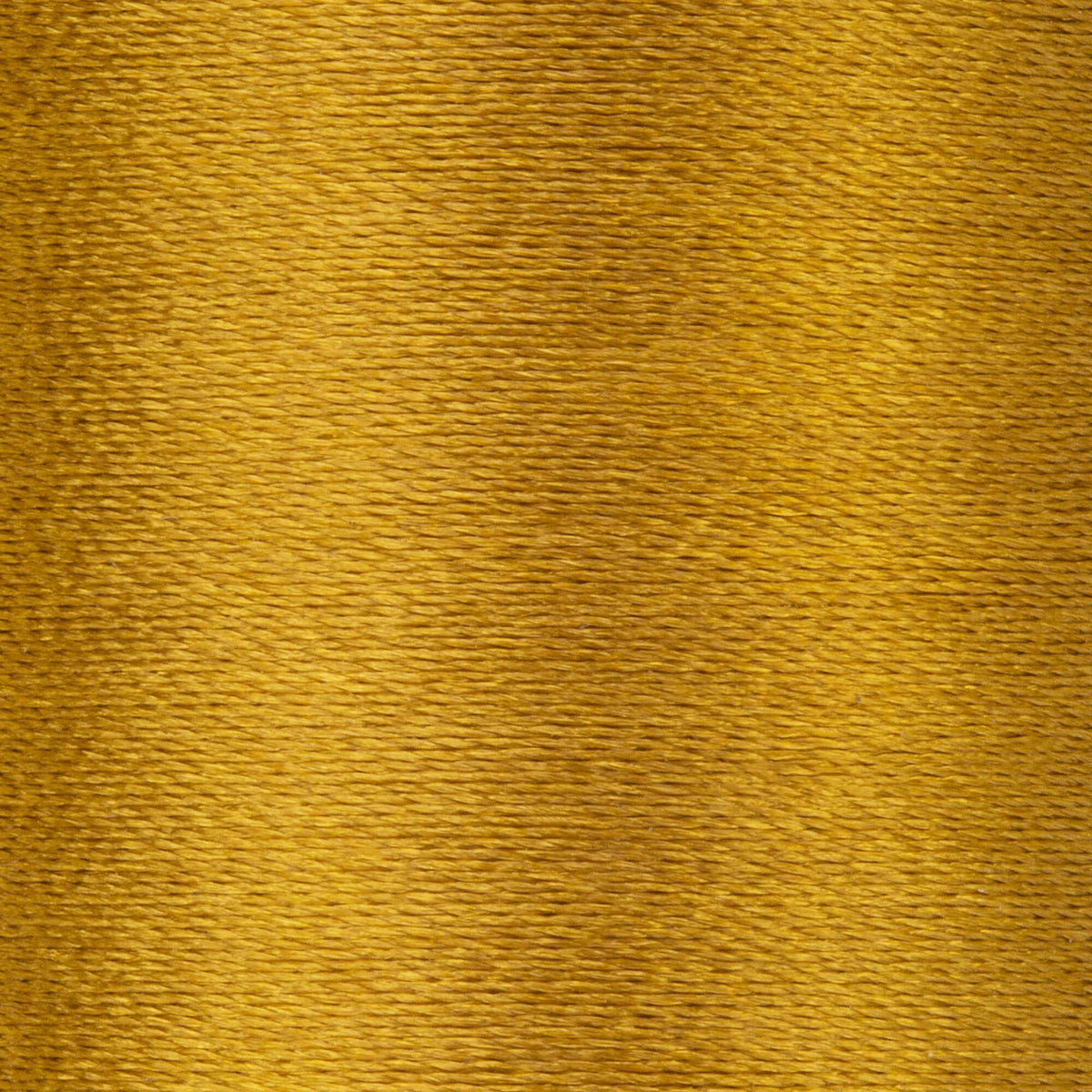 Jungle Gold