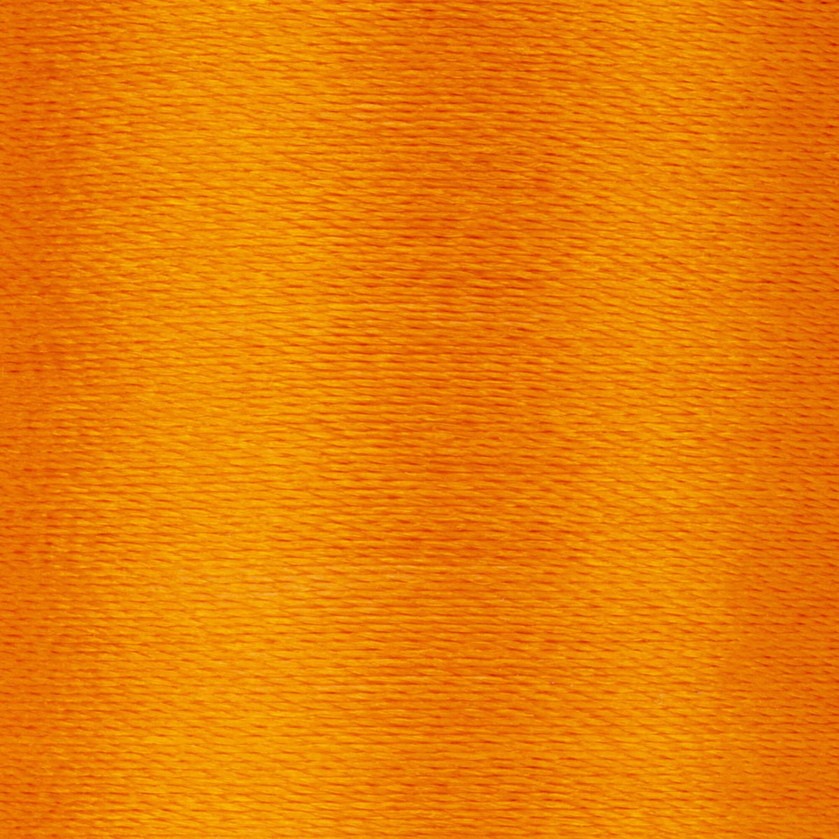 Kumquat