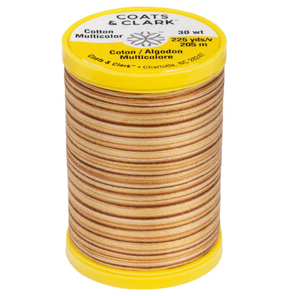 Coats & Clark Cotton Machine Quilting Multicolor Thread (225 Yards) - Clearance Shades Sandstone