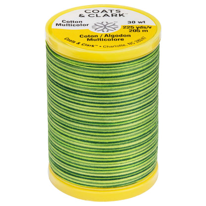 Coats & Clark Cotton Machine Quilting Multicolor Thread (225 Yards) - Clearance Shades Spring Green